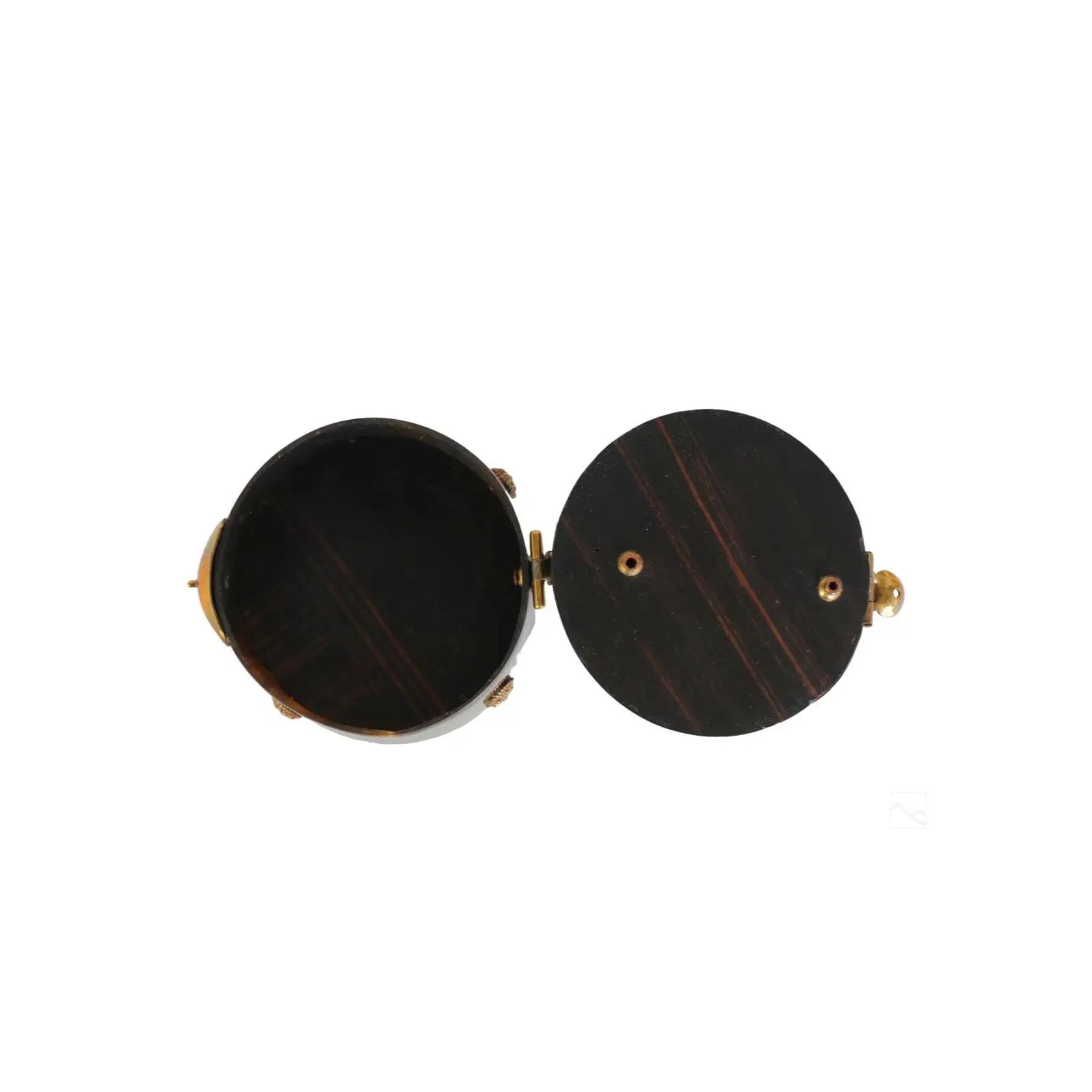 19th Century Victorian Horn & Coromandel Snuff Box