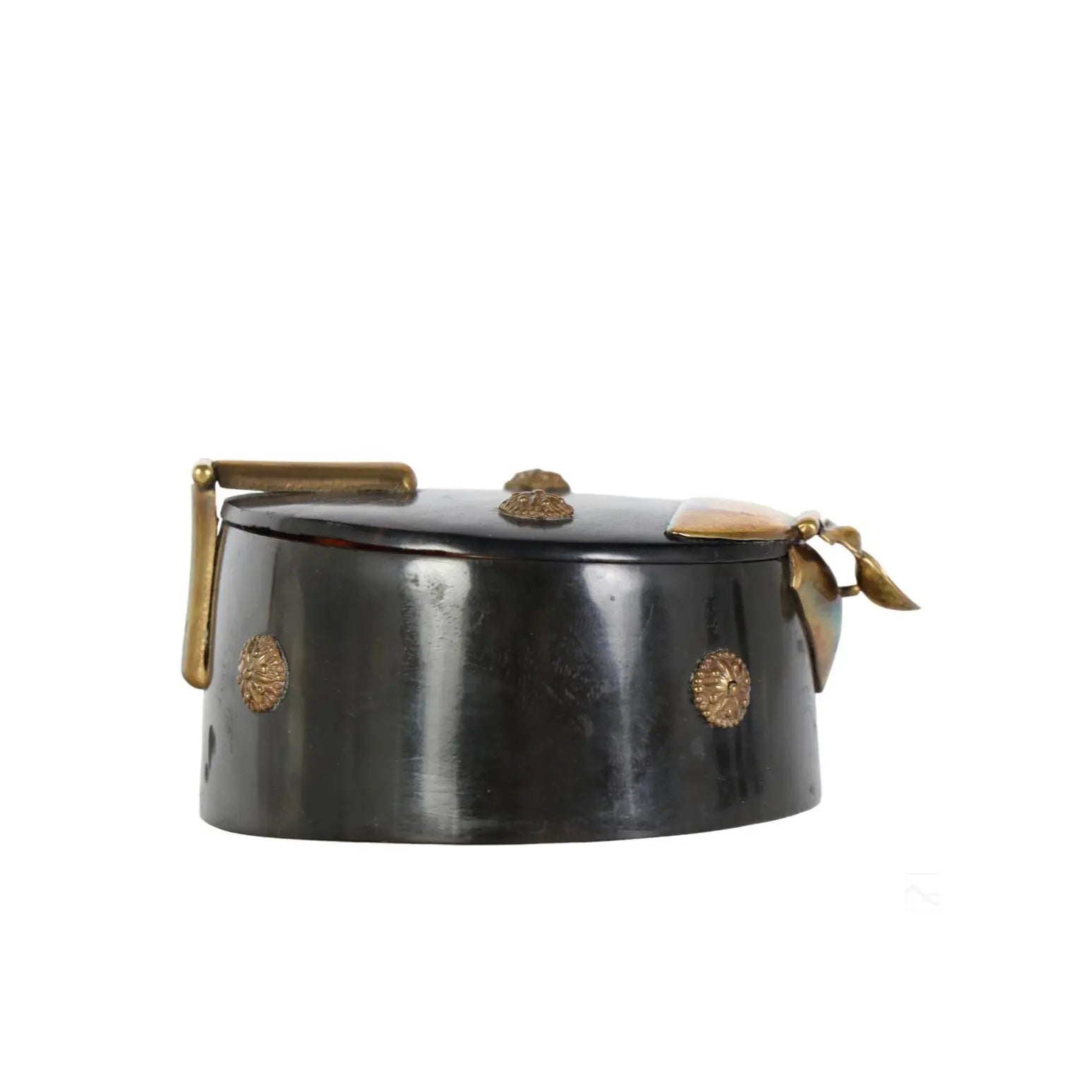 19th Century Victorian Horn & Coromandel Snuff Box