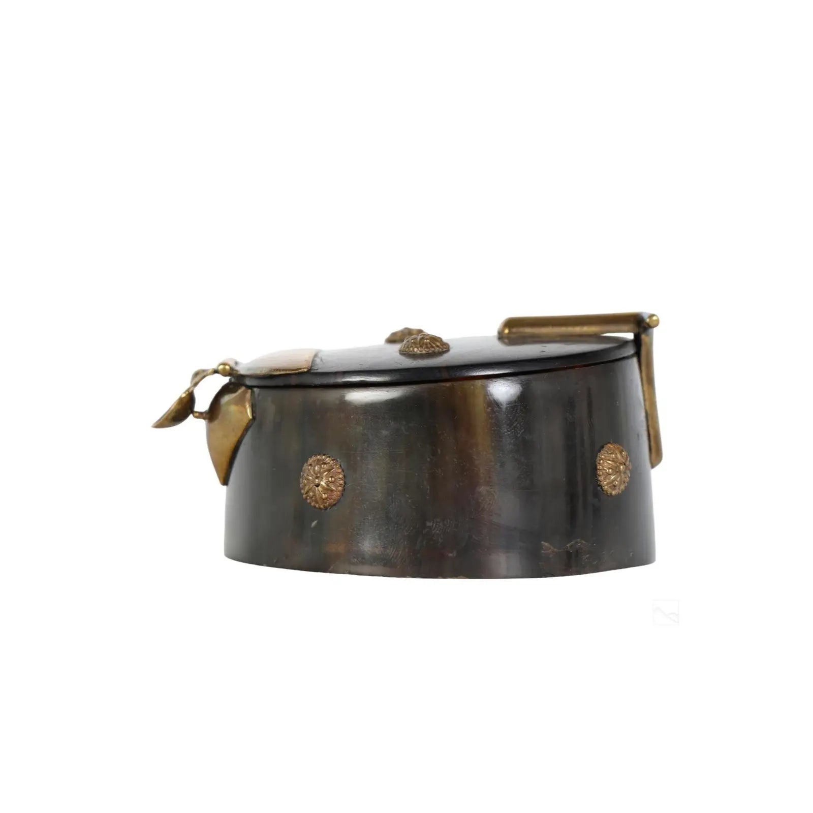 19th Century Victorian Horn & Coromandel Snuff Box