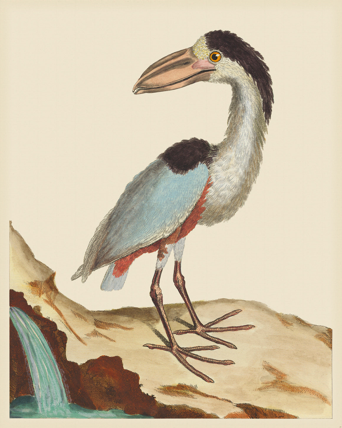 Martinet Magnified 038